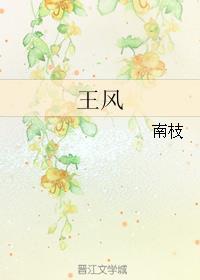 王风银简介