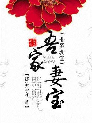 吾家妻宝txt百度完结番外