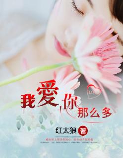 我爱你那么多txt